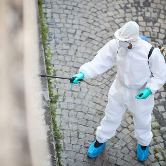 above-view-of-man-in-hazmat-suit-disinfecting-city-2024-12-13-18-35-27-8L2GHX7.jpg