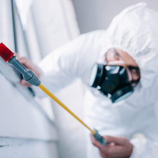 pest-control-worker-spraying-pesticides-under-wind-2024-11-19-06-26-32-UV2FEEG.jpg